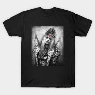 Silver and Shadows T-Shirt